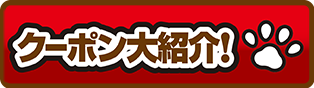 メニュー画像