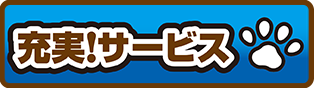 メニュー画像